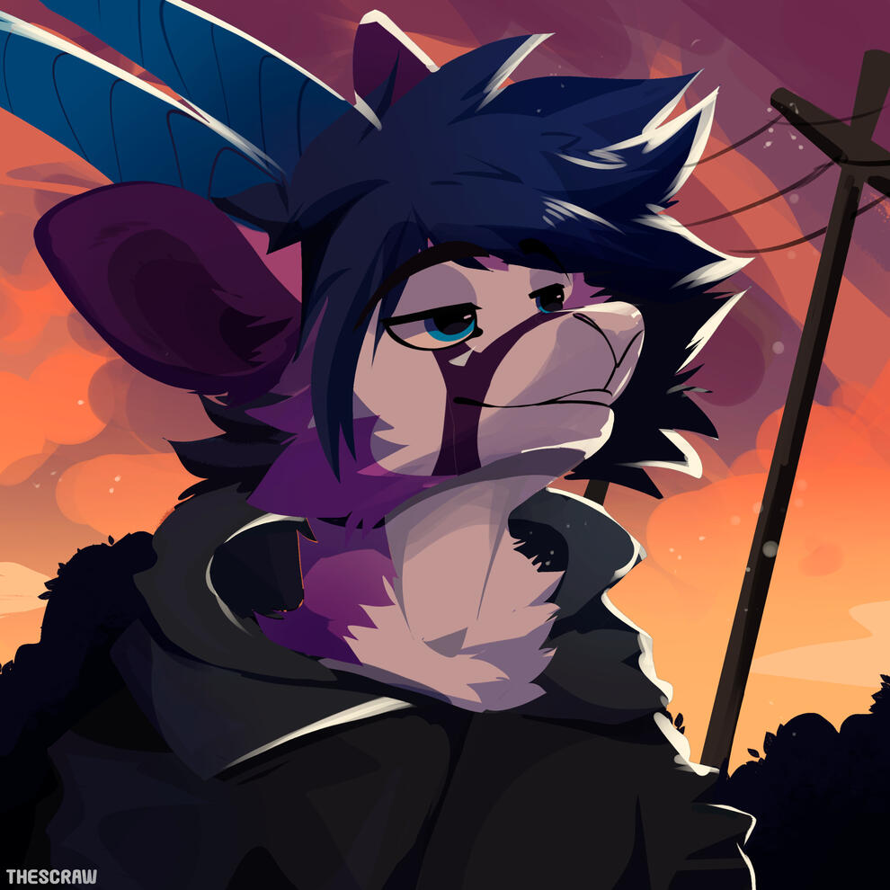 He/Him